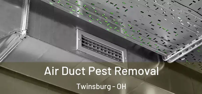  Air Duct Pest Removal Twinsburg - OH