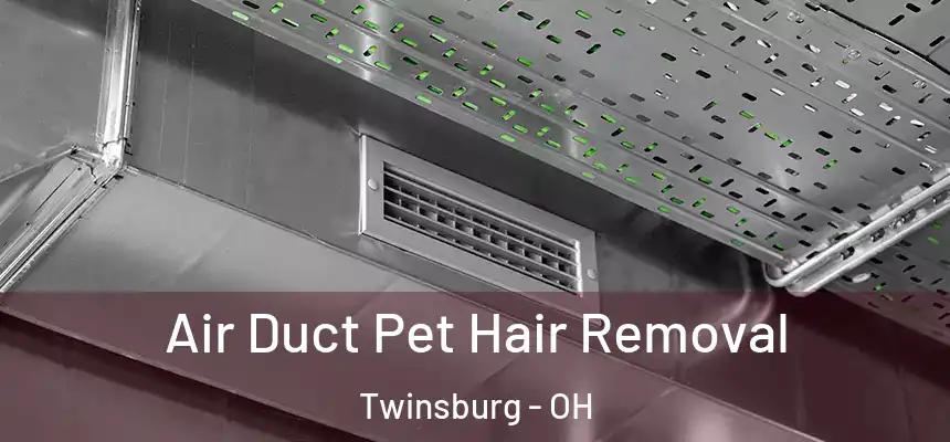  Air Duct Pet Hair Removal Twinsburg - OH