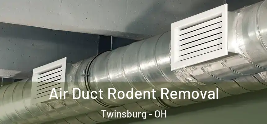  Air Duct Rodent Removal Twinsburg - OH